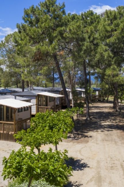 Les 3 meilleures raisons de venir en vacances dans un camping proche du Puy du Fou